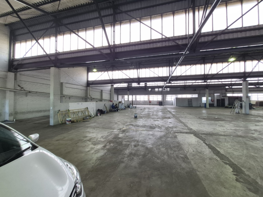 To Let Commercial Property for Rent in Paarden Eiland Western Cape